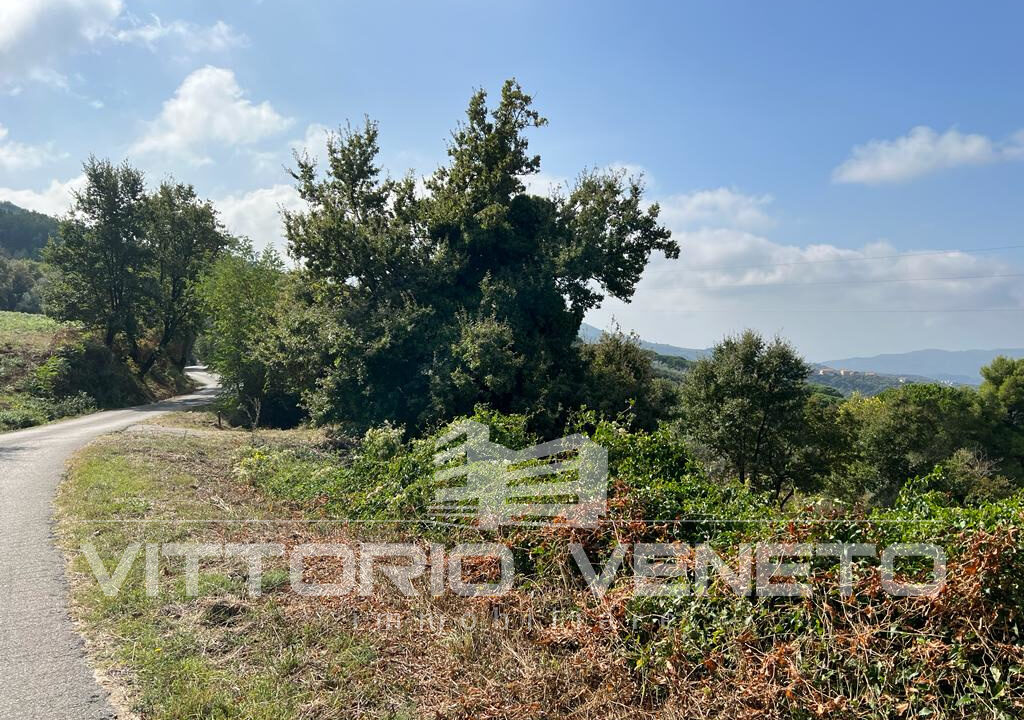 Terreno (1)