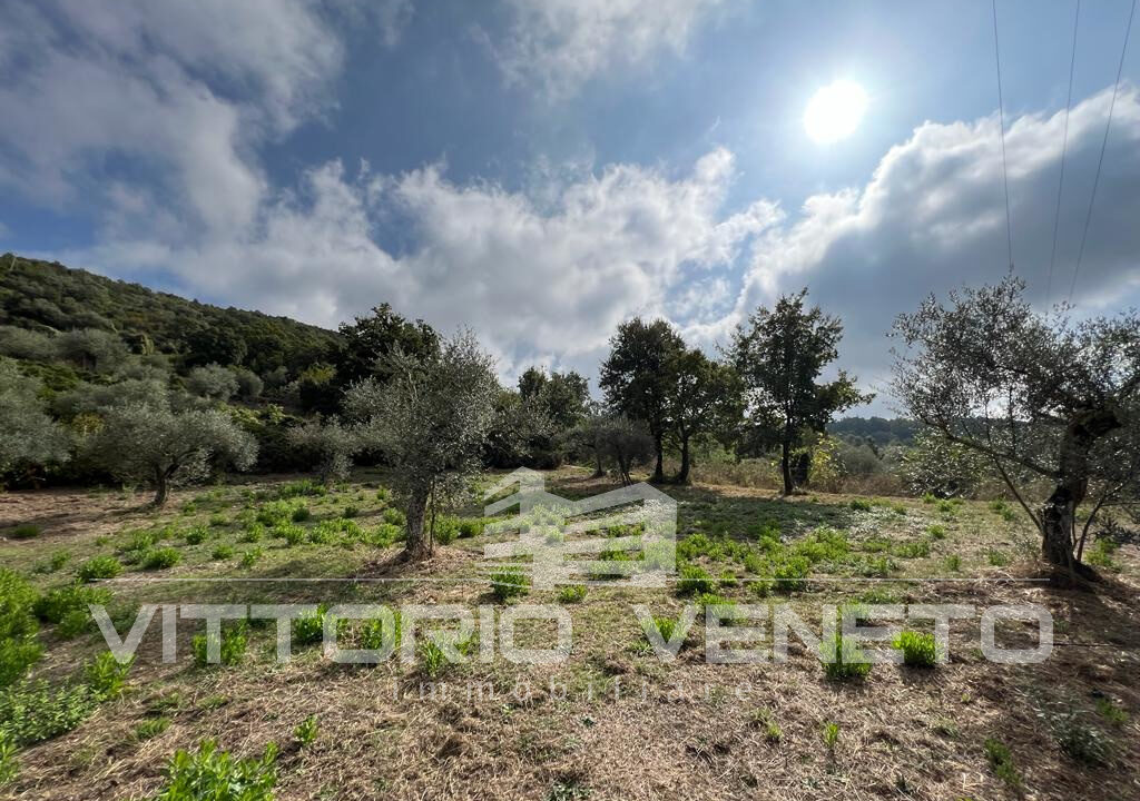 Terreno (33)