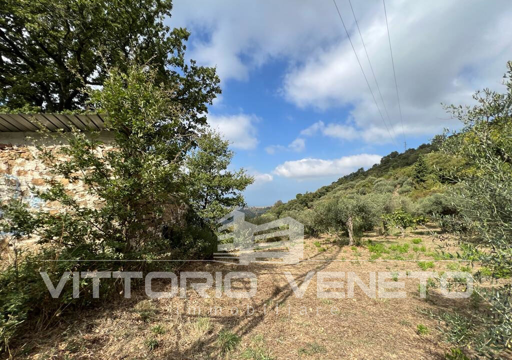 Terreno (36)