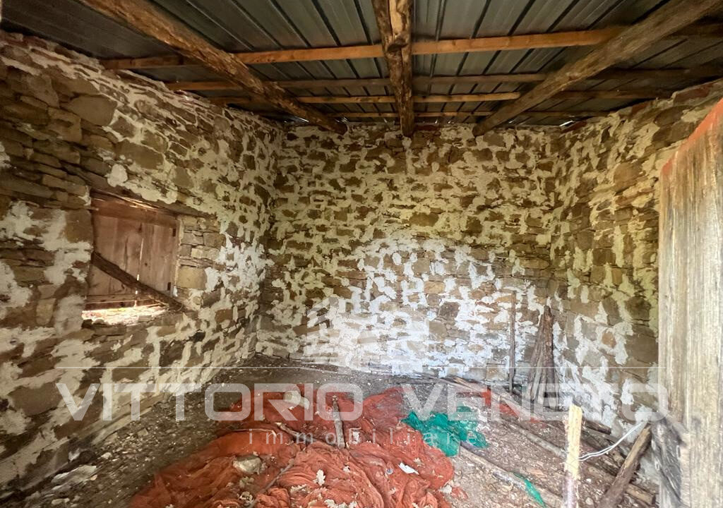 Terreno (44)
