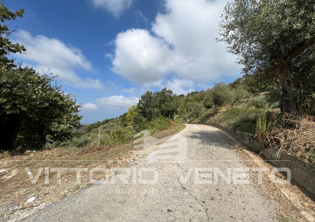 Terreno (6)
