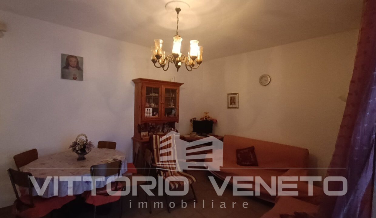 controne (48)
