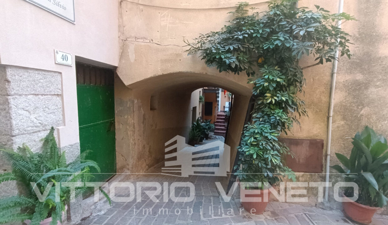 controne (66)