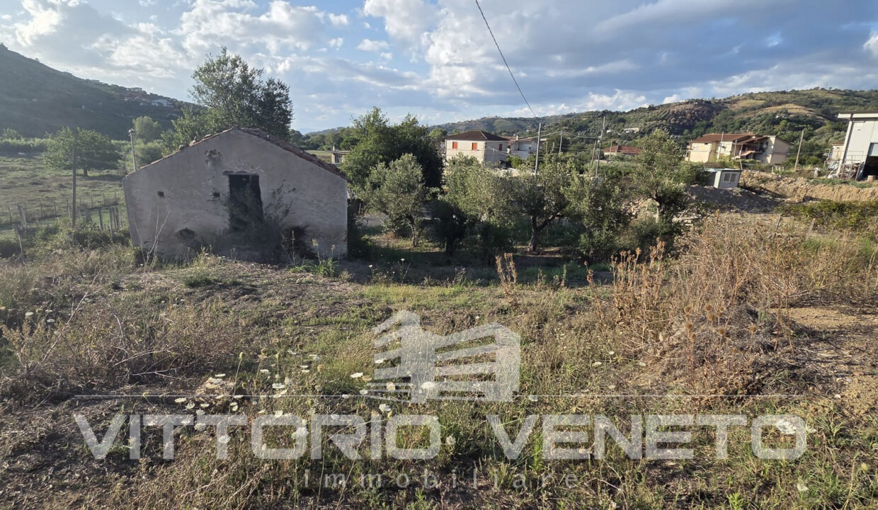 capann (13)