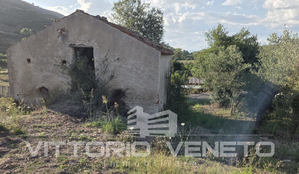 capann (33)