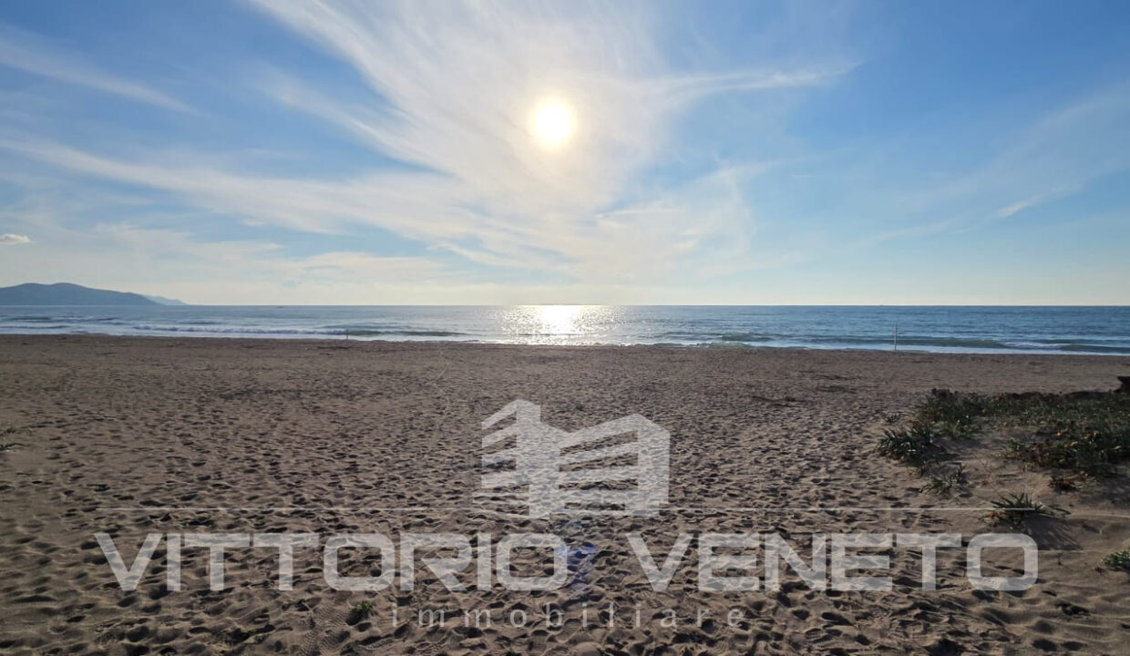 WhatsApp Image 2025-11-11 at 16.10.36