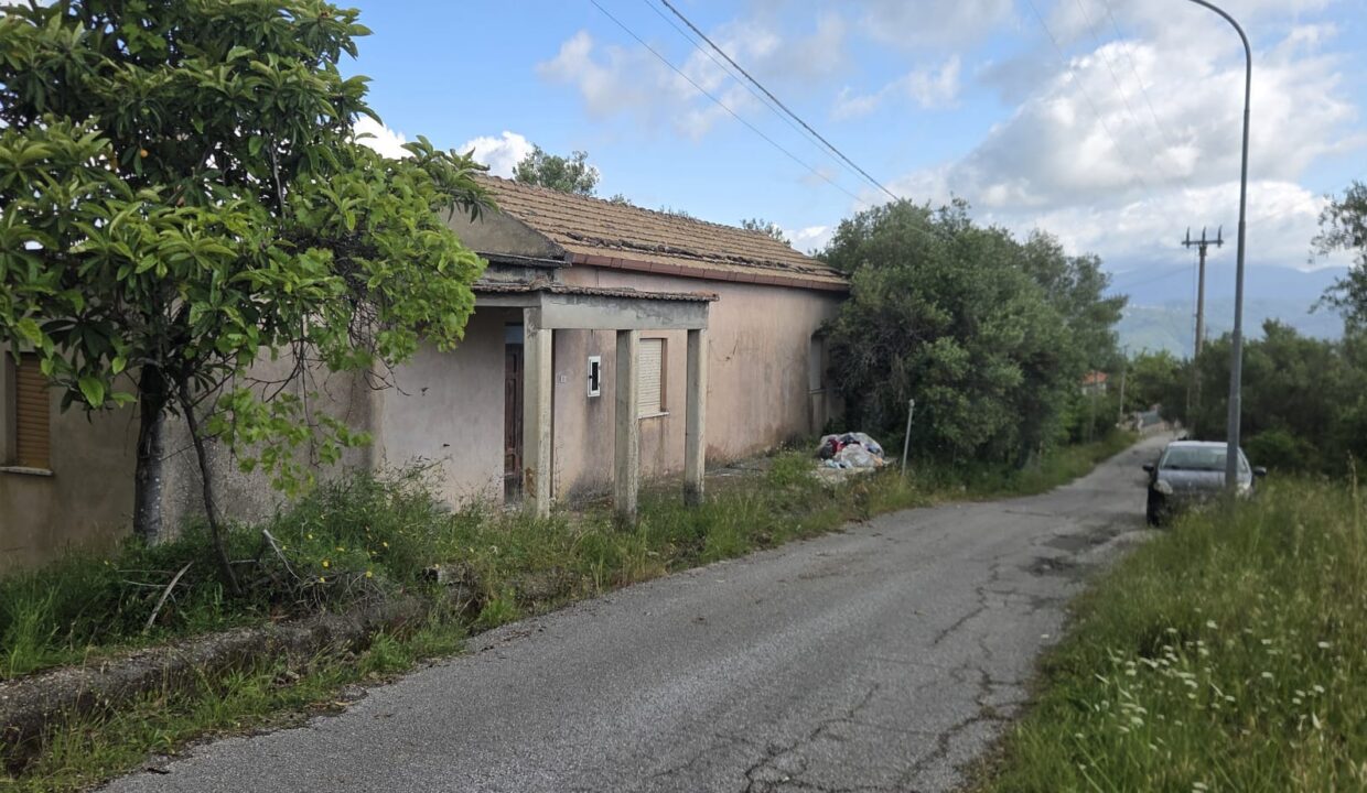 CASELLE (25)