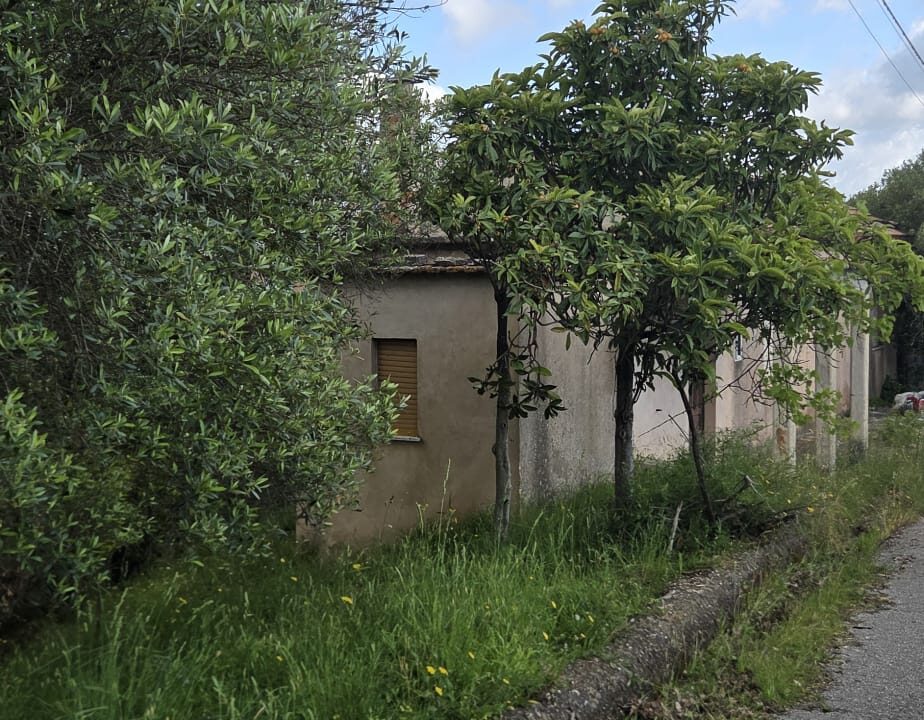 CASELLE (26)