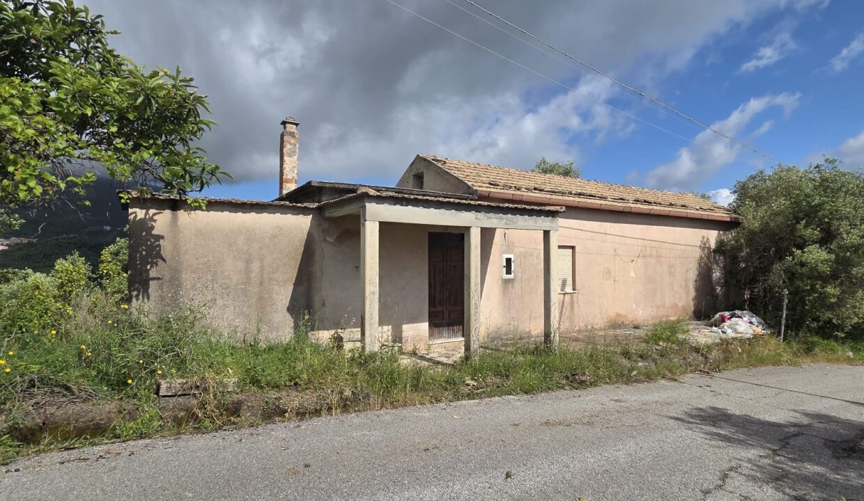 CASELLE (3)