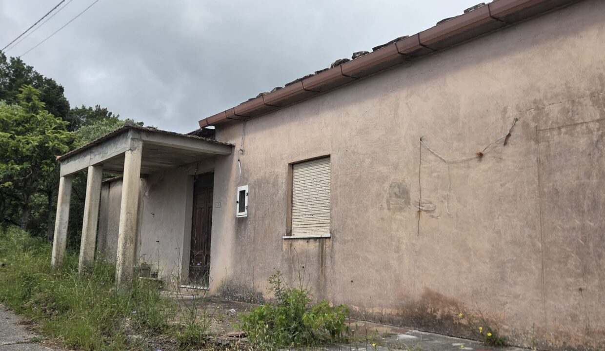 CASELLE (35)