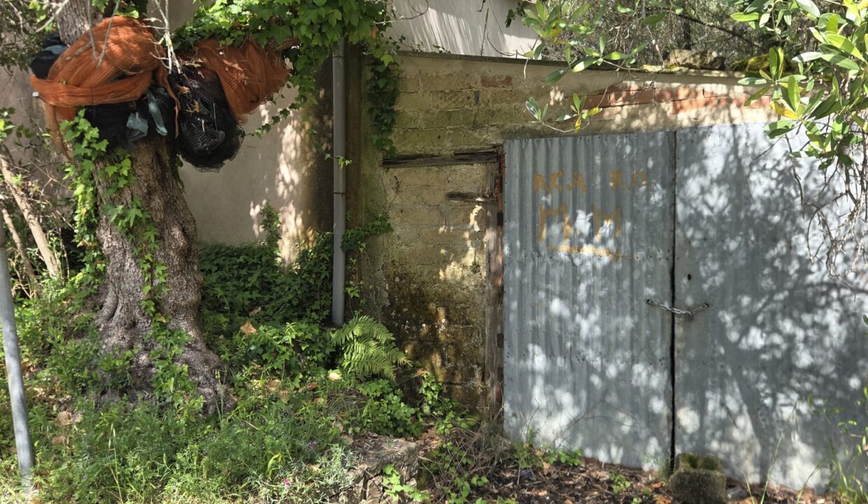 CASELLE (36)