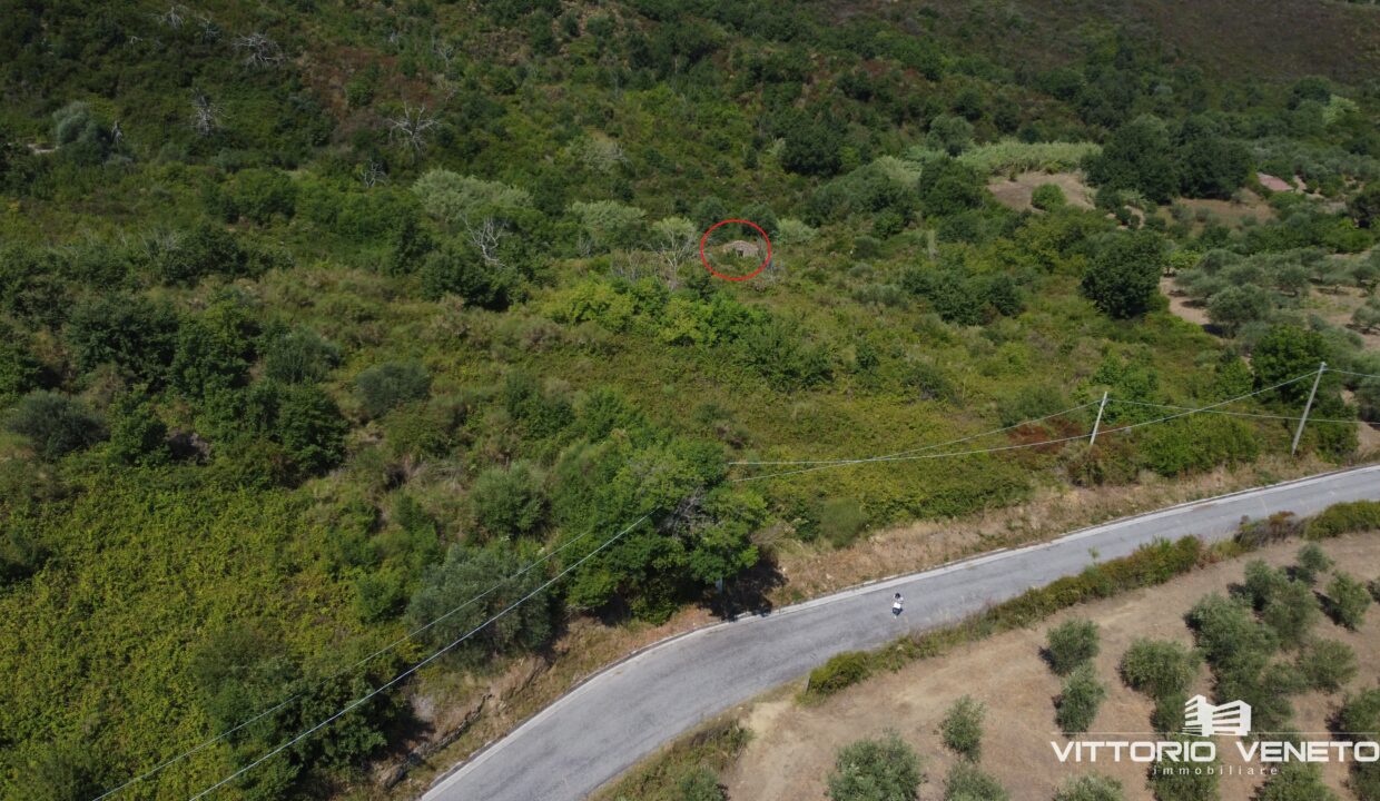 DJI_0257