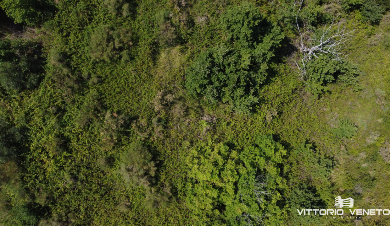DJI_0266