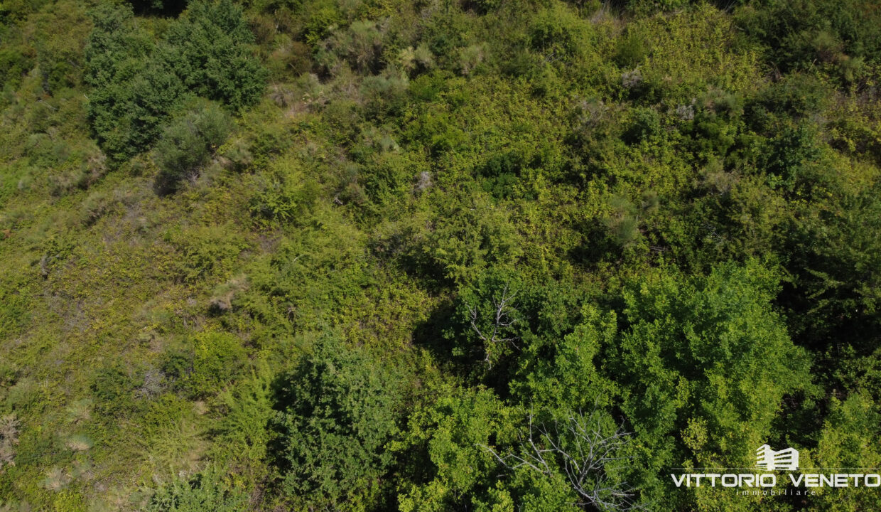 DJI_0270