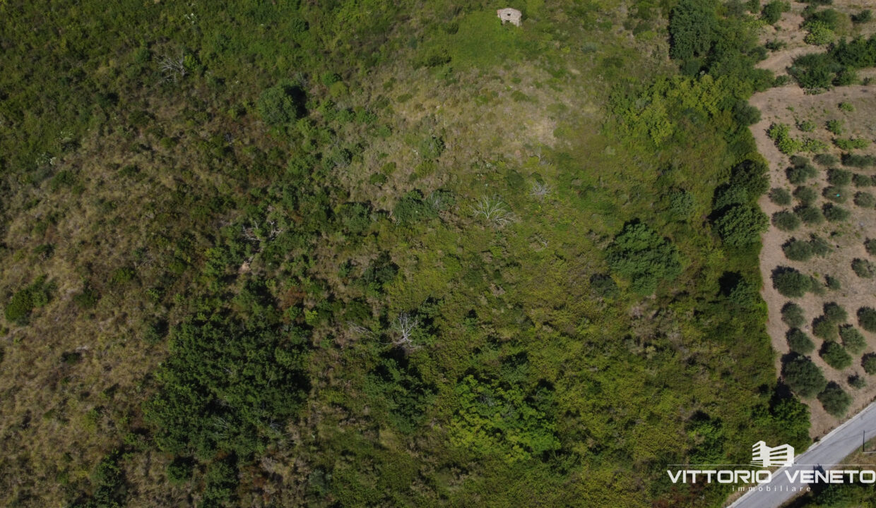 DJI_0273