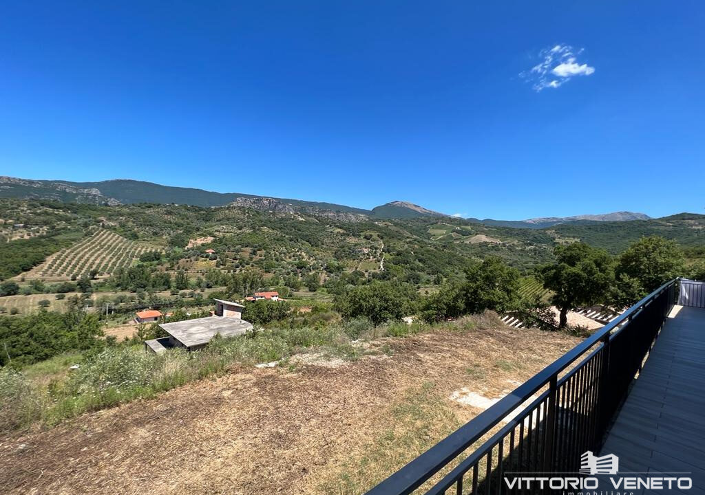 mola (16)